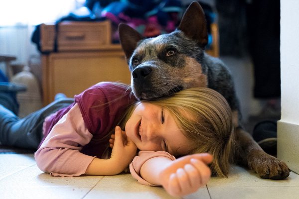 10954508_892782794107734_9076435077631126331_o