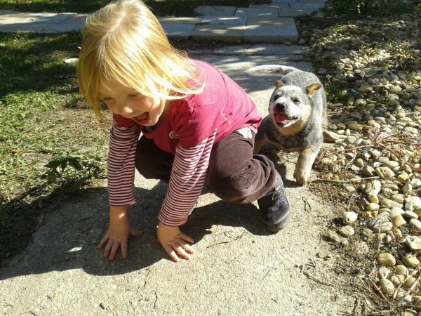 1243752_634170863302263_865773269_o