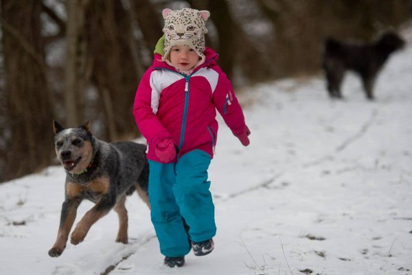 1658565_698281226891226_1569726002_o