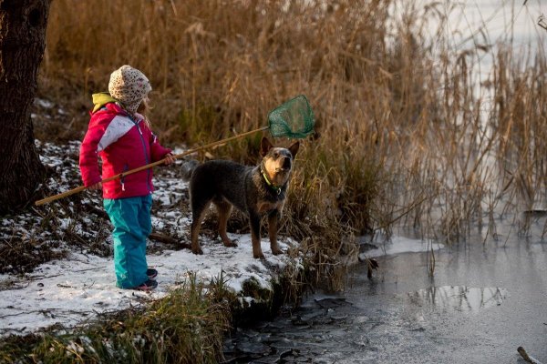 1795895_698282016891147_889284975_o