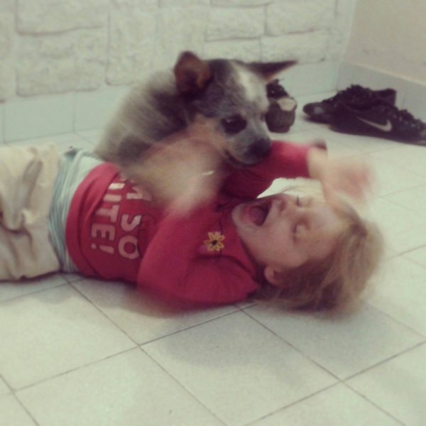 882295_640873702631979_1105099786_o