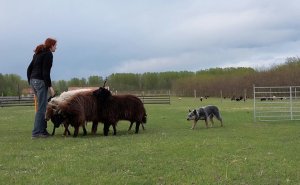 994178_10204334255057757_3014143613901837143_n